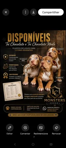 Filhotes de Monsters