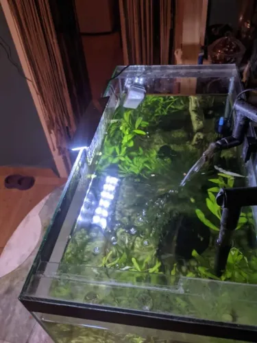 Aquario 100l a venda