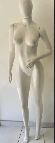Material pra loja 