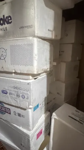 Caixa de Isopor em Perfeito Estado - R$ 30