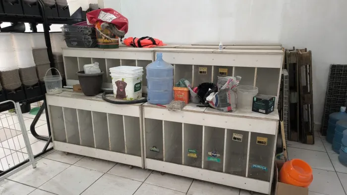 Pet box madeira 