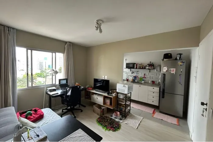 Apartamento | 1 Dorm | Paraíso