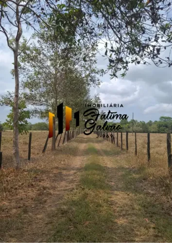Vendo Fazenda com 245 Hectares em Vigia.