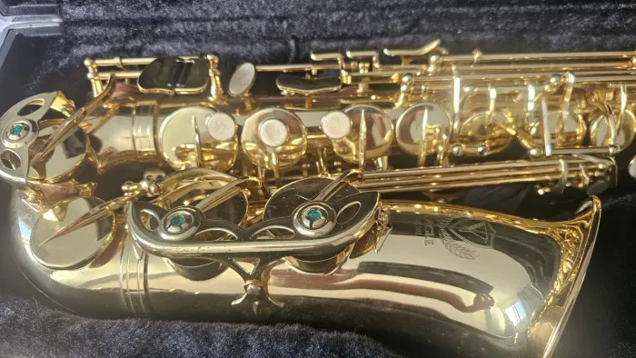 Saxofone Alto Eagle SAX 501 - Completo e Muito Conservado