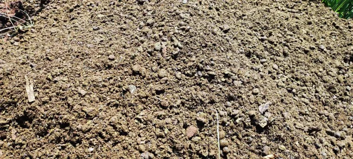 ESTERCO DE CARNEIRO À VENDA