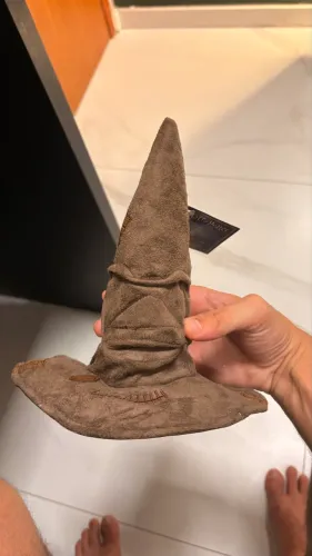 Chapéu seletor harry potter