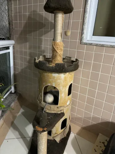 Castelo para gatos