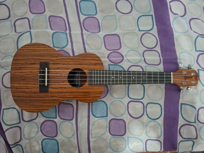 Ukulele Concert Giannini