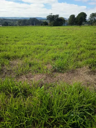 Terreno em Avaré 