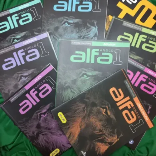 Caderno de Estudos Anglo Alfa várias matérias