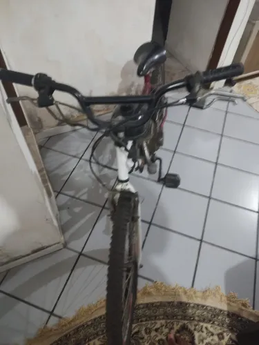 Bicicleta motorizada 