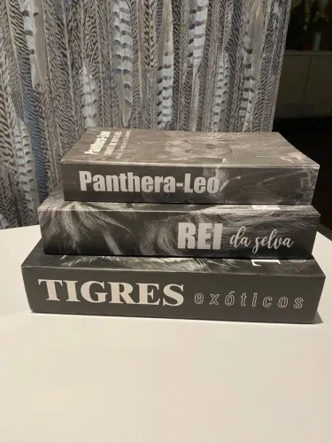 Livro Caixa Decorativa