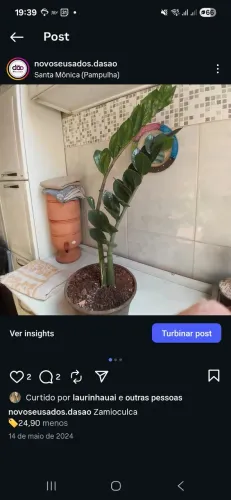 Plantas diversas a partir de 19,90 a 35,90/ Ler descrição antes d chamar 