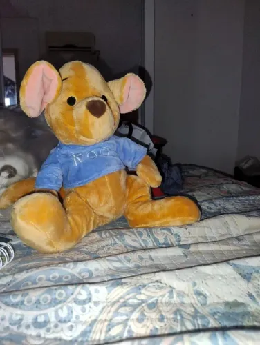 Da turma do wini pooh Disney canguru