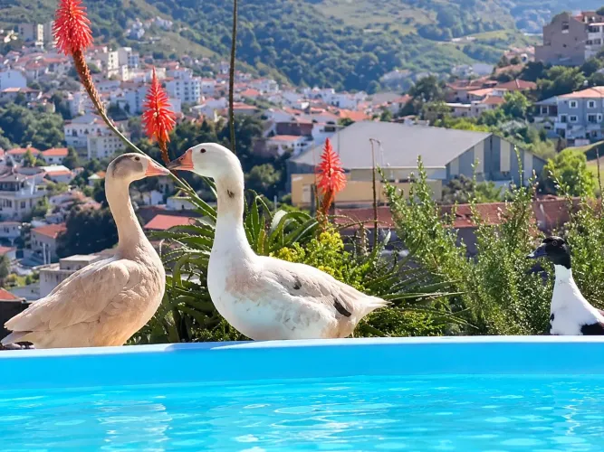Ganço