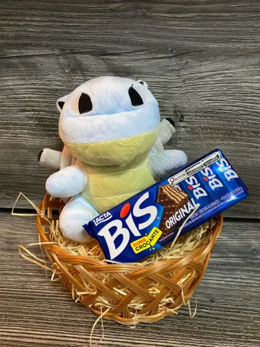 Cesta Pokemon
