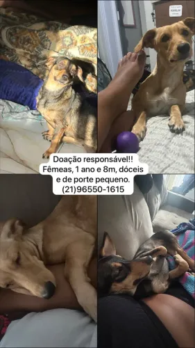 Doação responsável 