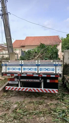 jardinagem e podas de arvores