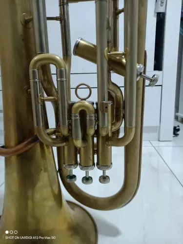 Eufonio/ Bombardino 3+1 Dolphin