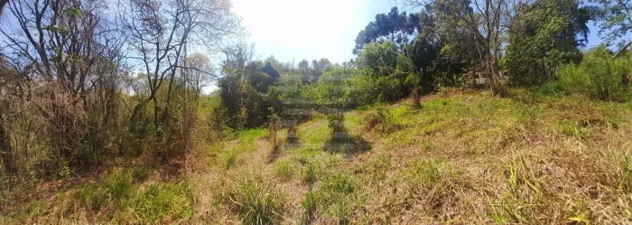 Terreno Excepcional à Venda em Bosques de Notre Dame- 10.385m²