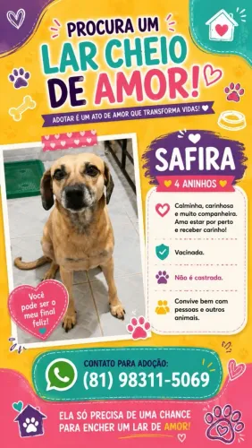 Cachorro Dócil