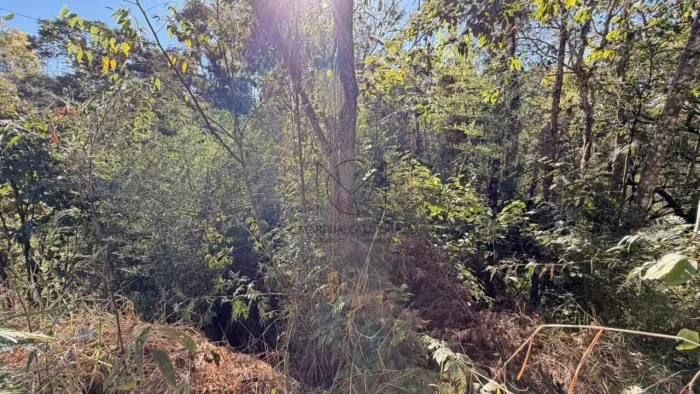 CONDOMÍNIO IPÊ AMARELO - Terreno à venda no bairro Ipé Amarelo - Esmeraldas/MG