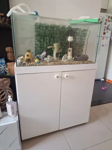 Aquário completo com acessórios