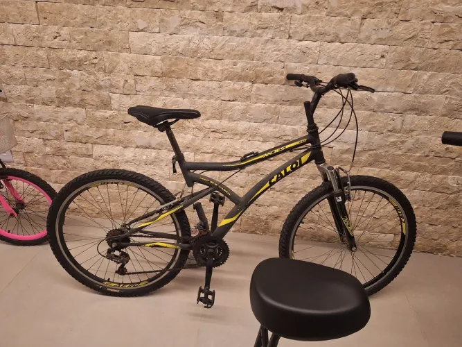Bicicleta