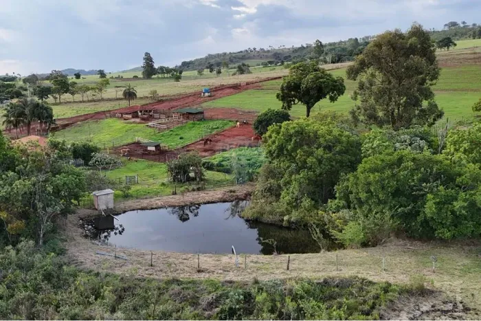 Sítio orgânico à venda com 10,8 ha no município de Cajuru SP, estrutura para beneficiament