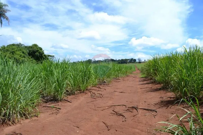 Fazenda à Venda em Luís Antônio/SP com Cana Arrendada e Renda Ativa