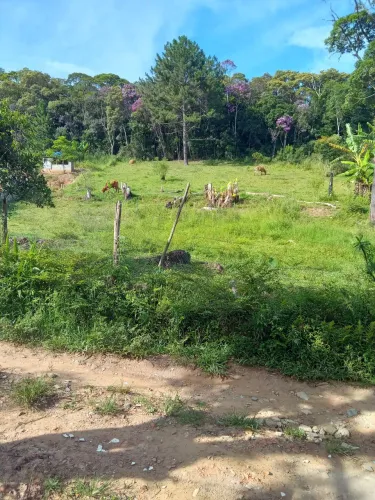  Terreno no Verava