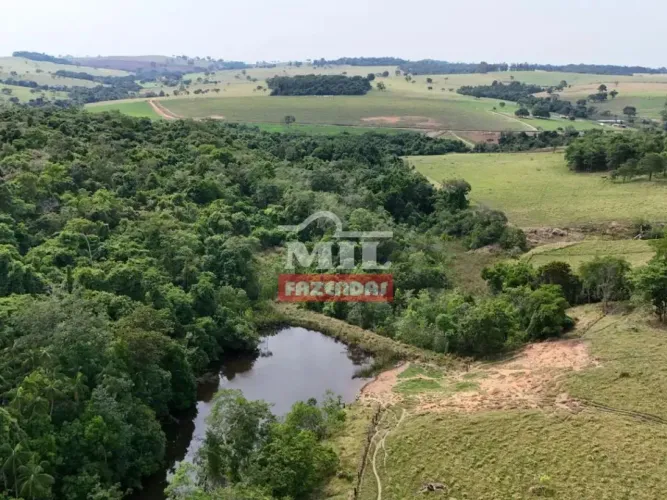 Fazenda 30 alqueires (145,2 hectares) Itauçu - Go