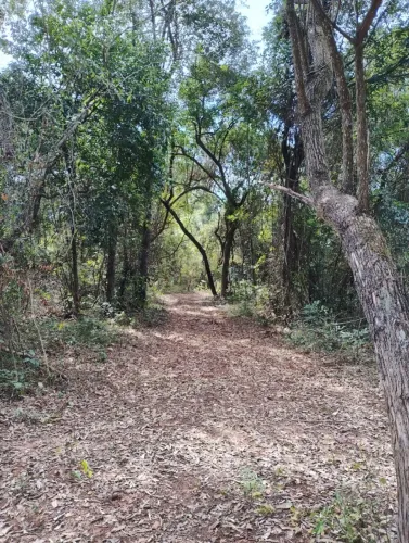 35 e 55 mil m2 de natureza