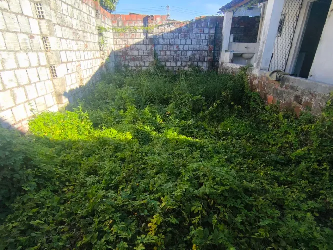 Roçagem 