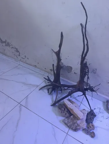 Tronco e pedras pra aquário 