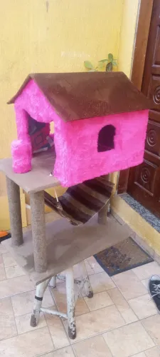 Casinhas de gato 135$