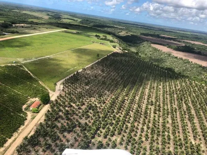 Belíssima fazenda produtiva na regiao de Porto Seguro-dispensamos corretores
