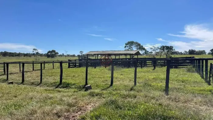 FAZENDA À VENDA INOCÊNCIA/MS