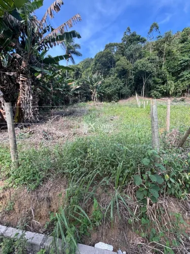 Terreno 1.275m² em Buenos Aires - Guarapari/ES, acesso asfaltado, região valorizada, perto