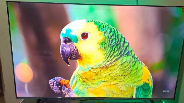 TV TCL 4K 50P NOVA
