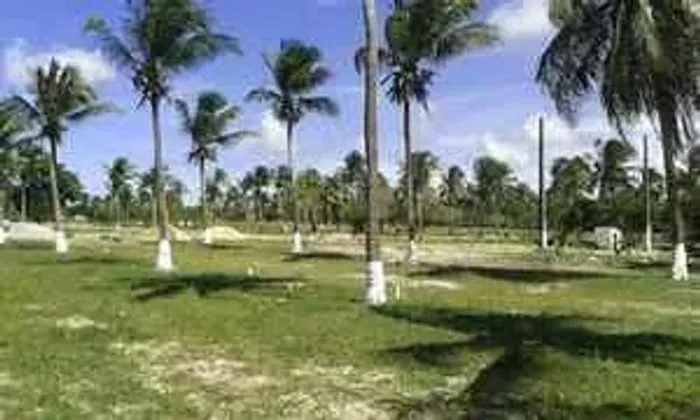 Lote a venda em Paracuru.