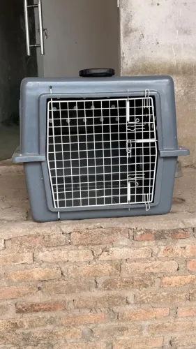 Caixa transportadora de cães