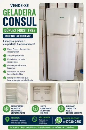 Consul dúplex Frost Free