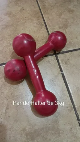 Anilhas e Halteres