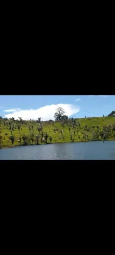 Vende-se ilha fazenda
