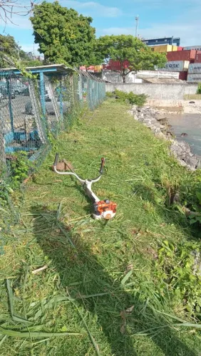 Faço serviços de rosagem e limpeza de terrenos