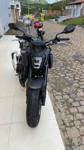 Hornet 500