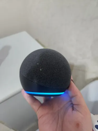 Alexa echo dot