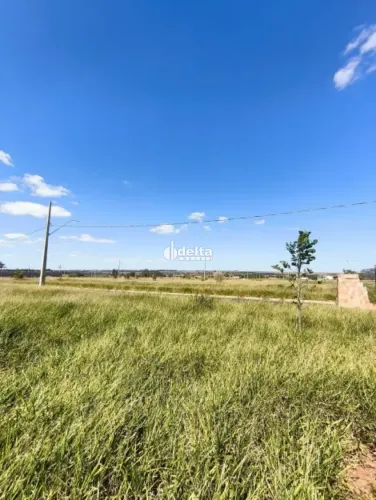 Terreno disponível para venda no bairro Novo Mundo em Uberlândia-MG.