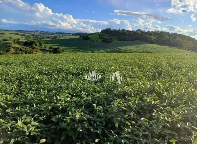 Sítio à venda, 355740 m² por R$ 3.700.000,00 - Rural - Londrina/PR